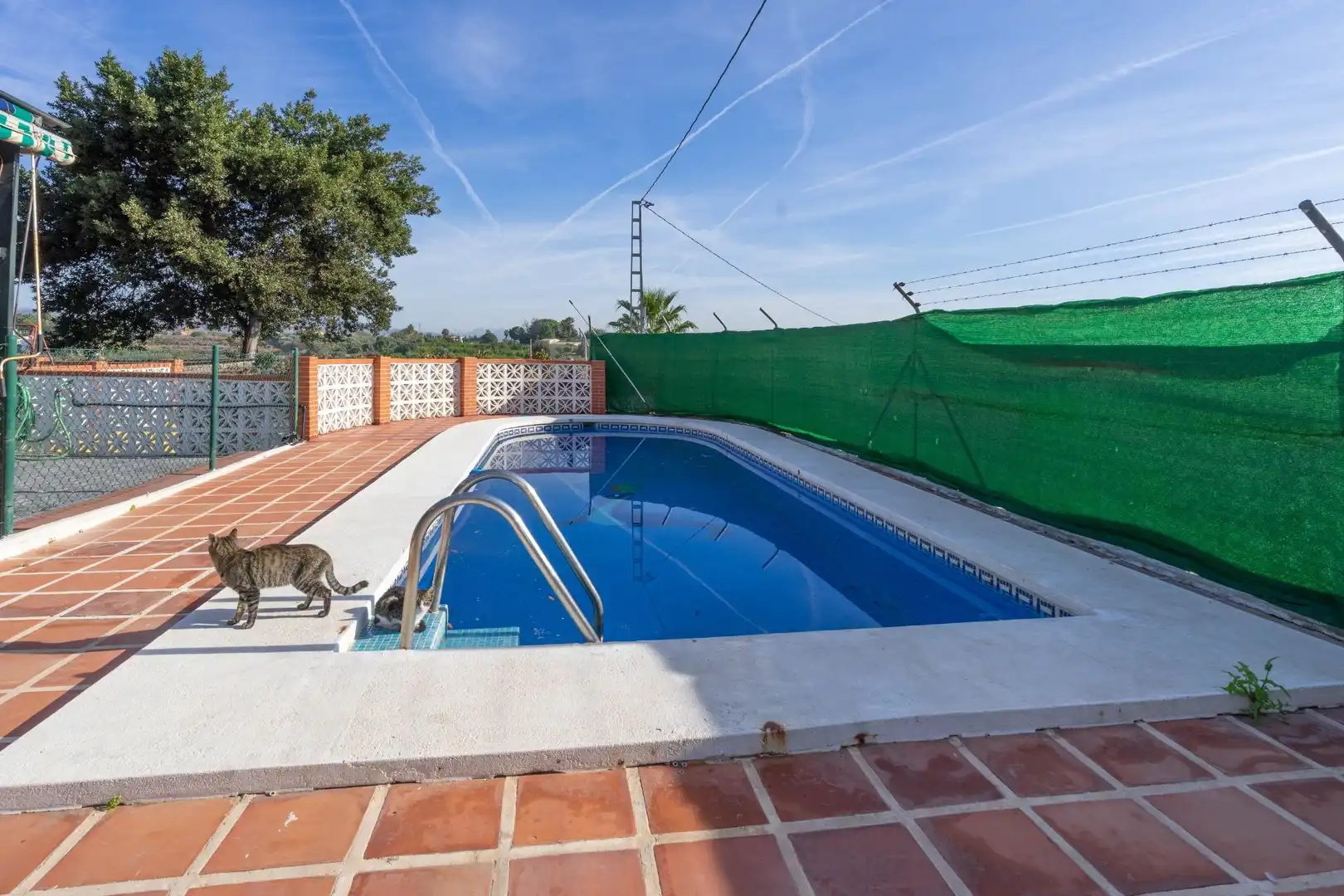 Swimming pool of Houses for sale in Cártama  with Private garden, Terrace and Storage room