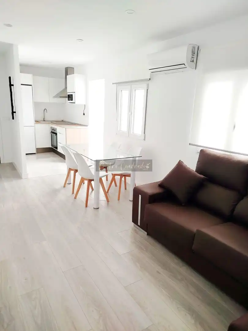 Living room of Flat for rent in Mérida  with Air Conditioner and Furnished