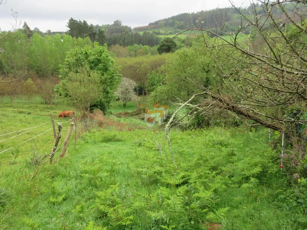 Landhaus mit Garten zum Verkauf in As Somozas, imagen 19