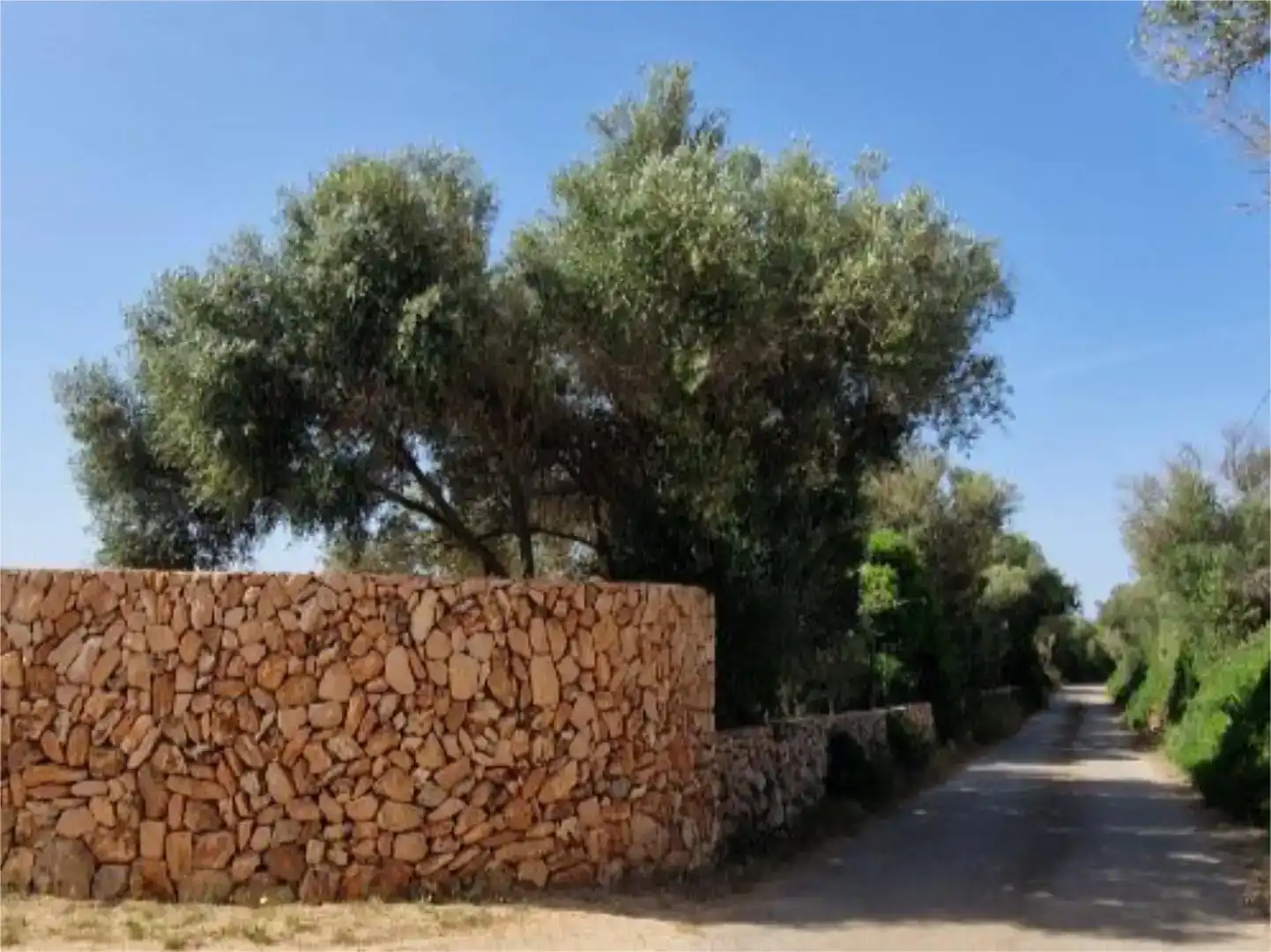Vista exterior de Casa o xalet de lloguer en Campos amb Piscina