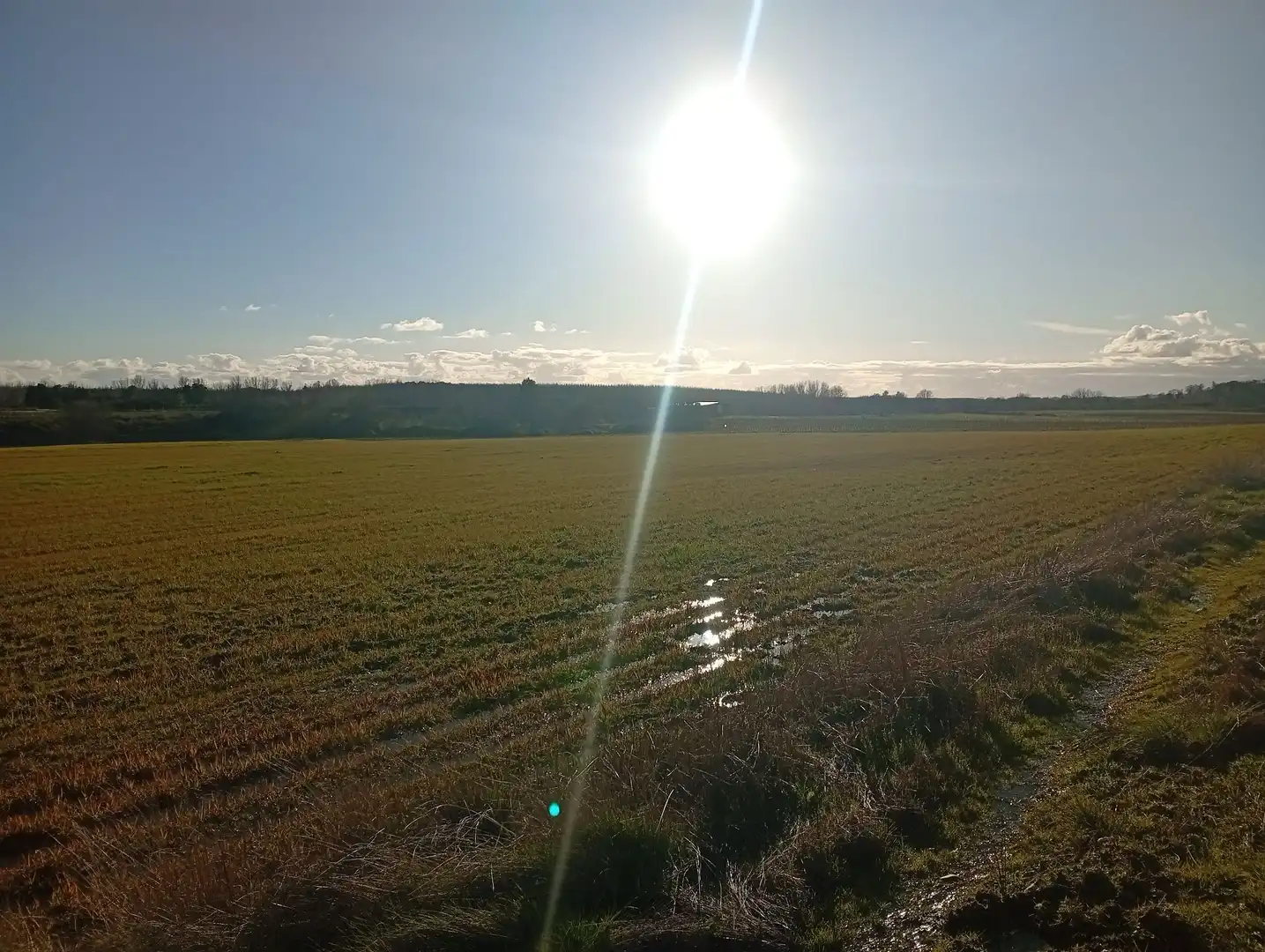 Land for sale in Losar de la Vera