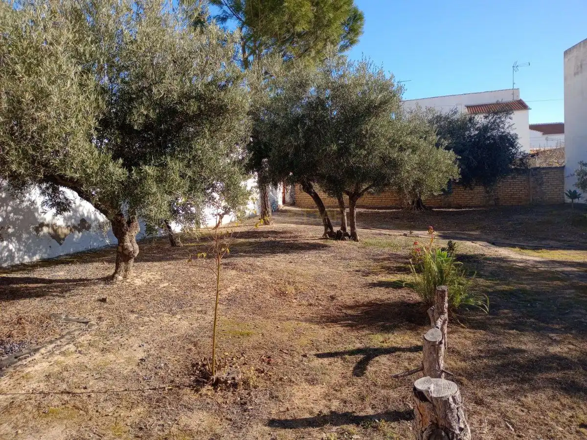 Casa en venda a Villanueva de Algaidas, imagen 78