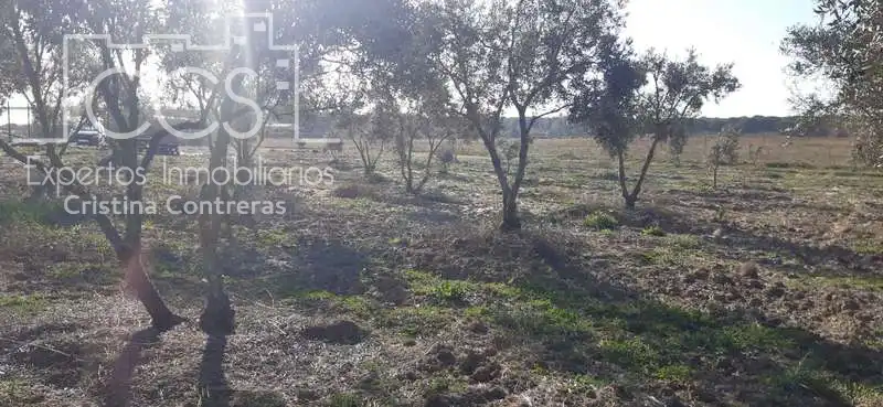 Terreni e lotti in vendita a Almonte ciudad