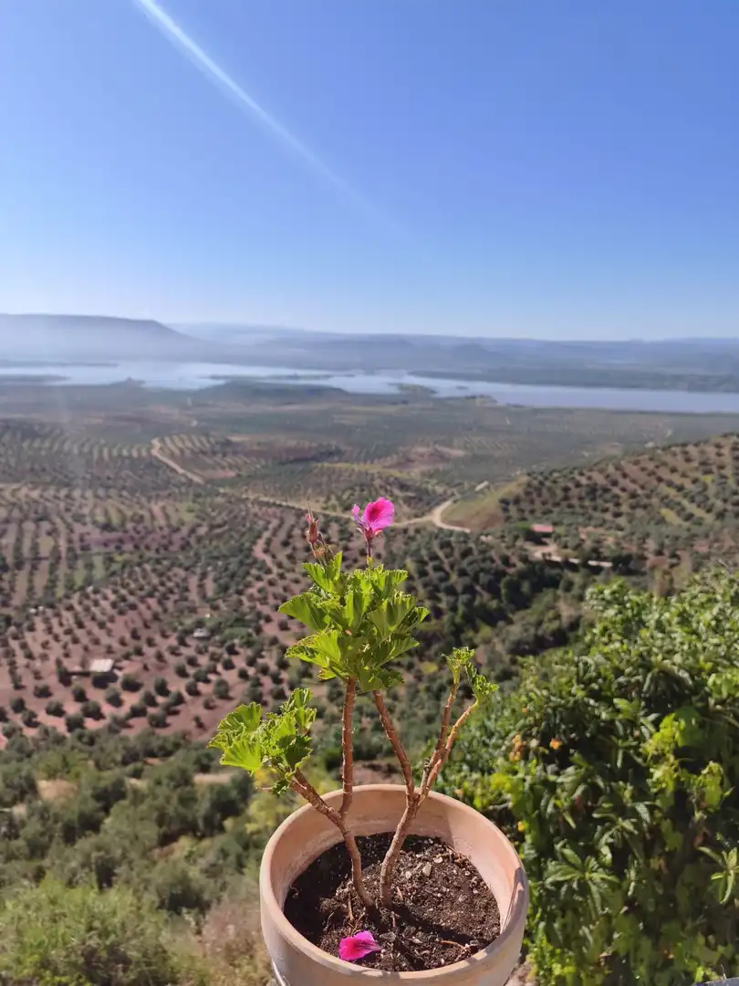 Jardí de Casa o xalet en venda en Bedmar y Garcíez amb Terrassa