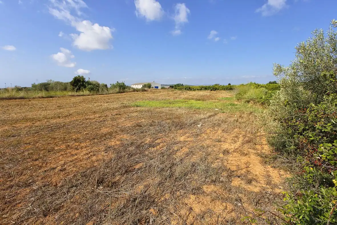 Rural land for sale in Alcanar, imagen 6