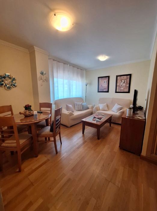 Sala d'estar de Pis de lloguer en Málaga Capital amb Aire condicionat i Moblat