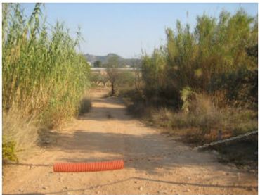 Terreni e lotti in vendita a Canals