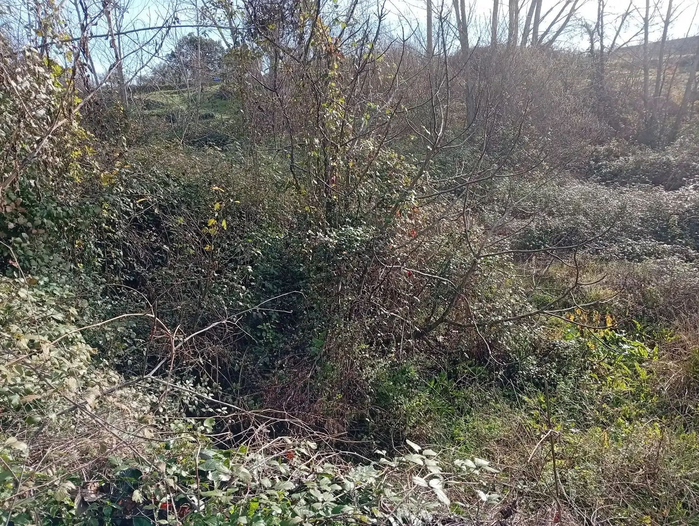 Terreni e lotti in vendita a Valverde de la Vera, imagen 9