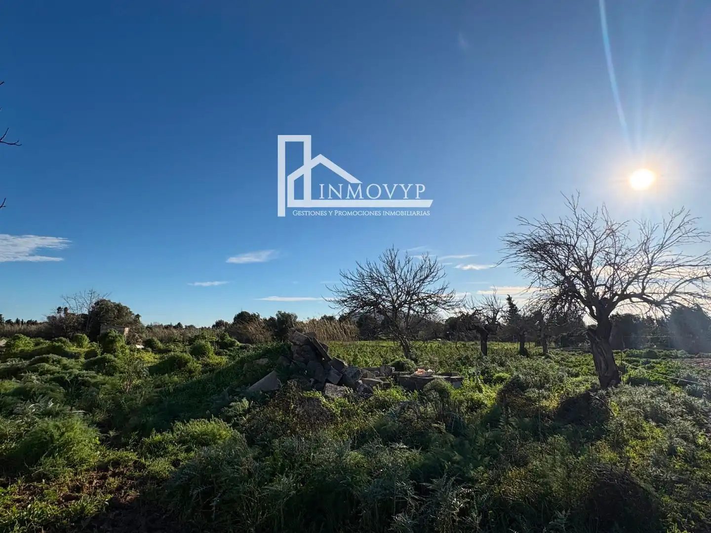 Finca rústica en venda en Búger amb Jardí privat, Terrassa i Traster