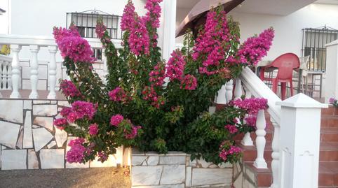 Foto 3 de Casa o chalet en venta en Carretera de Sevilla - Los Montitos, Badajoz