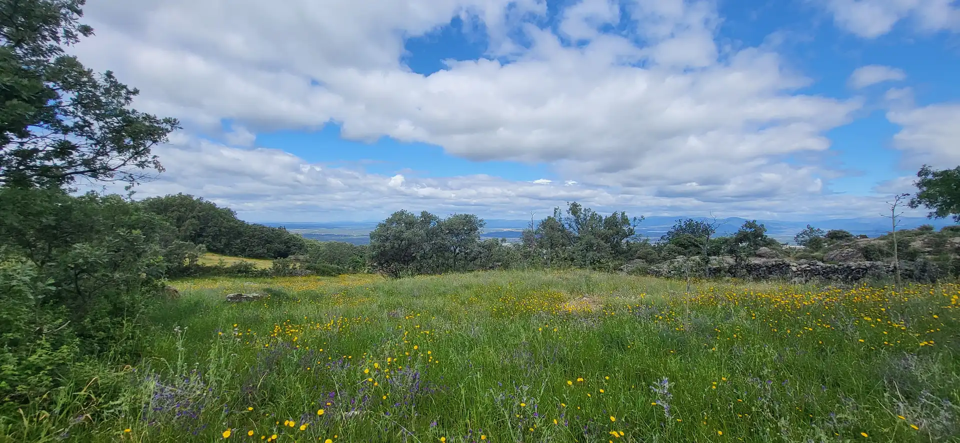 Grundstücke zum Verkauf in Villar de Plasencia