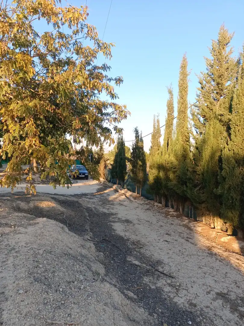 Vista exterior de Casa o chalet en venta en Molina de Segura con Aire acondicionado, Calefacción y Jardín privado