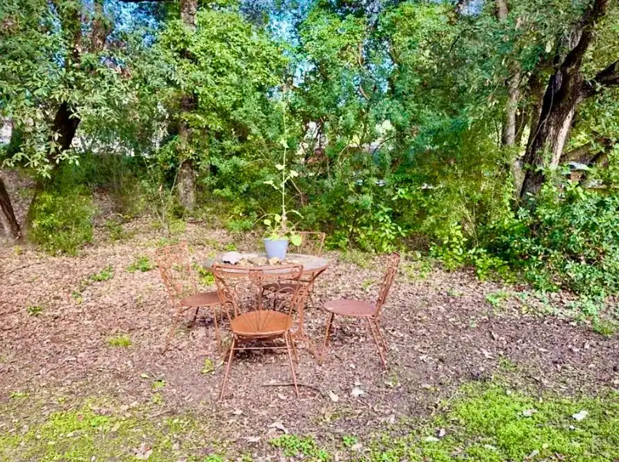 Garden of Houses for sale in Bescanó, Girona