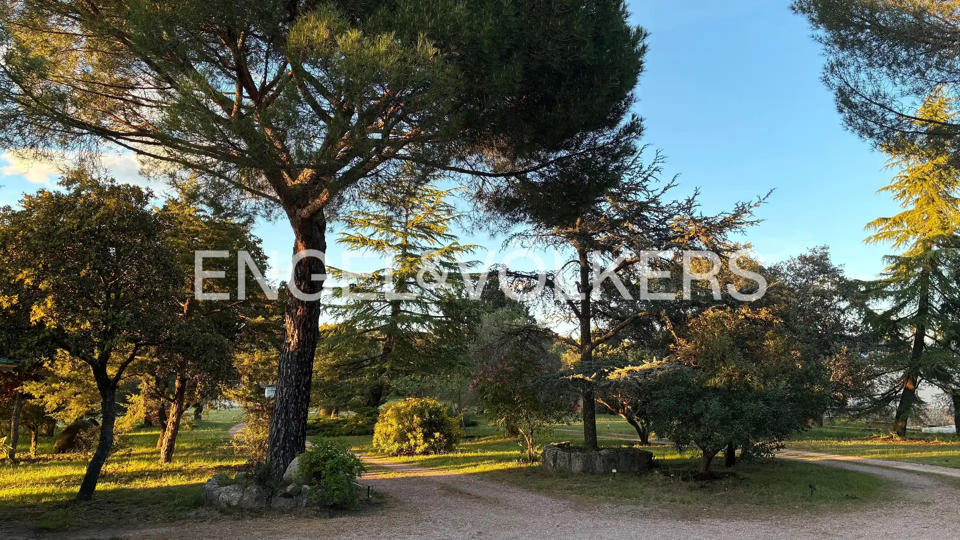 Vista exterior de Casa o chalet en venta en Galapagar con Aire acondicionado, Calefacción y Jardín privado