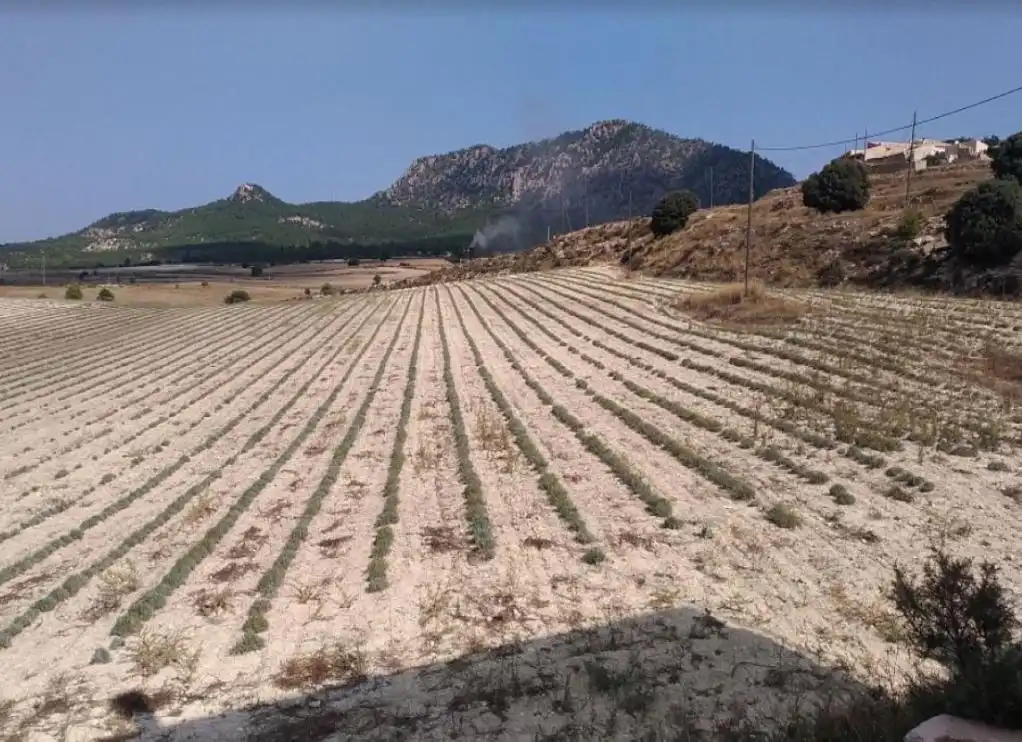 Rustikales Grundstück zum Verkauf in SOLANA DE LA PAVA, imagen 5