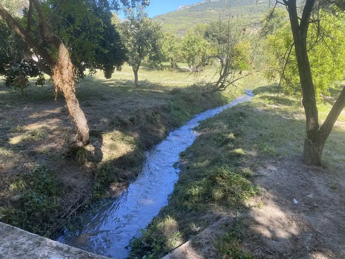 Finca rústica en venda en El Bosque