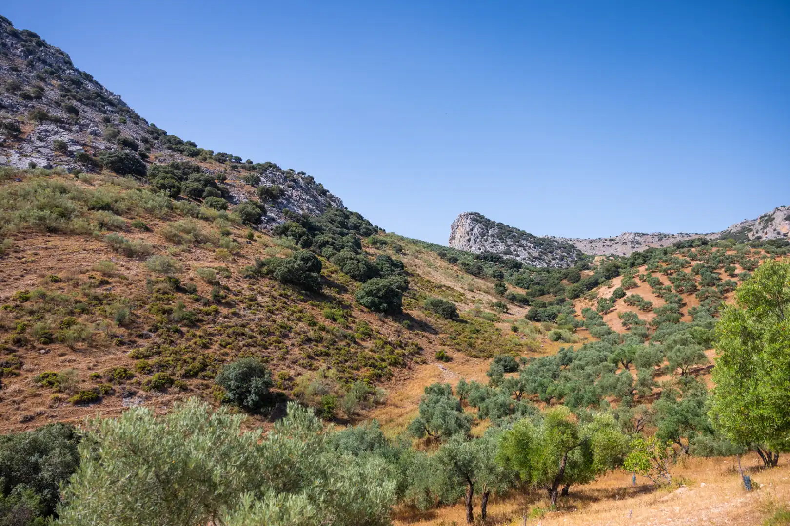 Finca rústica en venta en Montejaque con Aire acondicionado, Jardín privado y Terraza