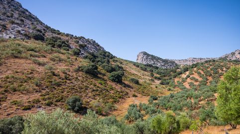 ¿Sueñas con tener un espacio de retiro? ¿Tu propio oasis de tranquilidad? ¿Buscas un lugar para compartir y disfrutar de reuniones, imagen 5