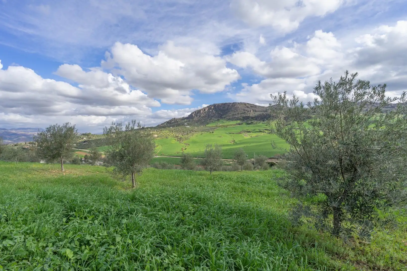 Villa zum Verkauf in Álora, imagen 66