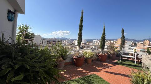 Foto 4 de Àtic en venda a Plaça de Toros,  Palma de Mallorca