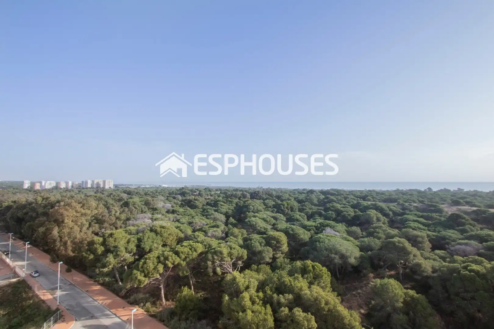 Ático con terraza en venta en Puerto Deportivo, imagen 17