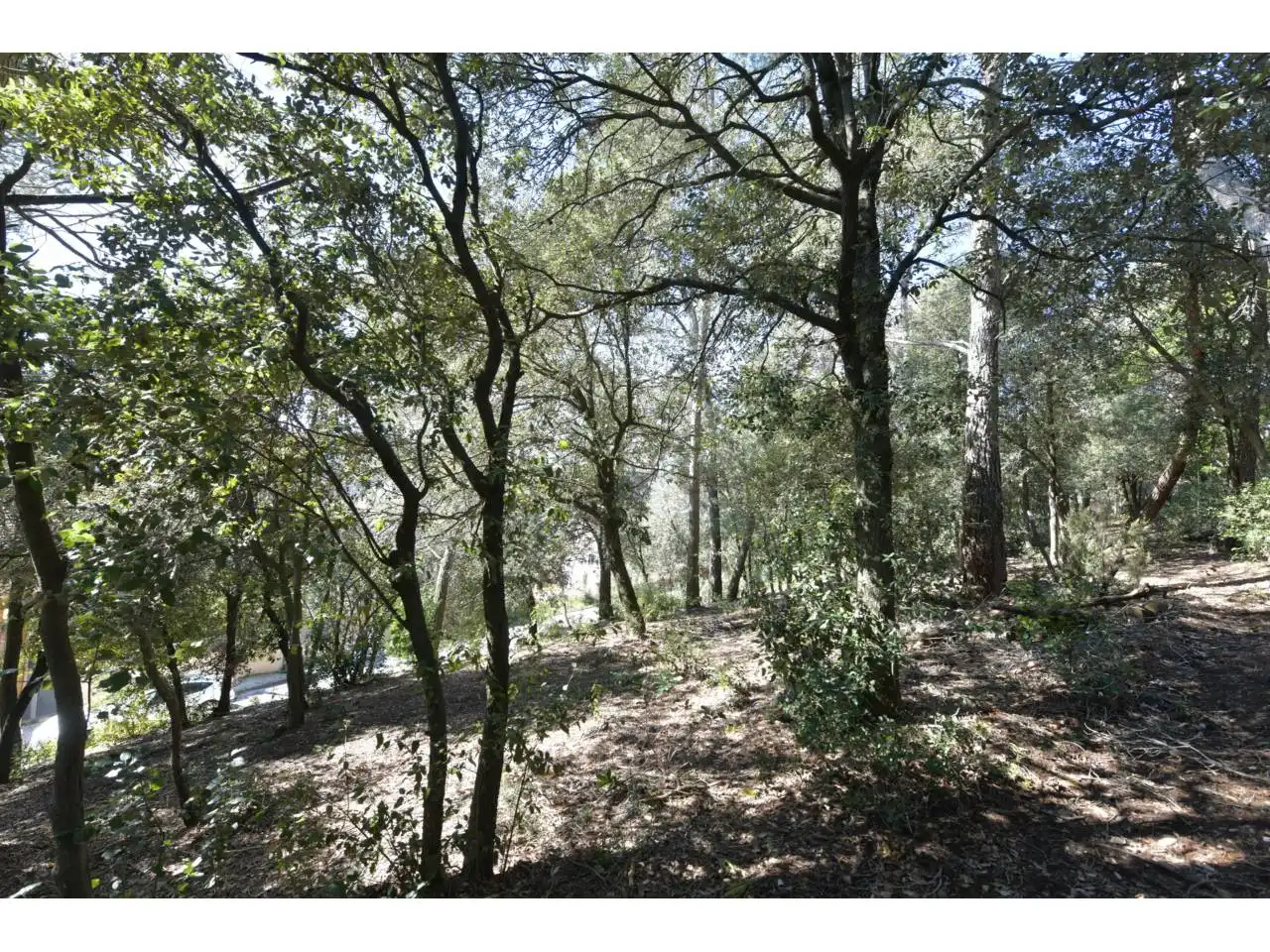Wohnbaugrundstück zum Verkauf in El Racó - Sant Feliu del Racó, imagen 14