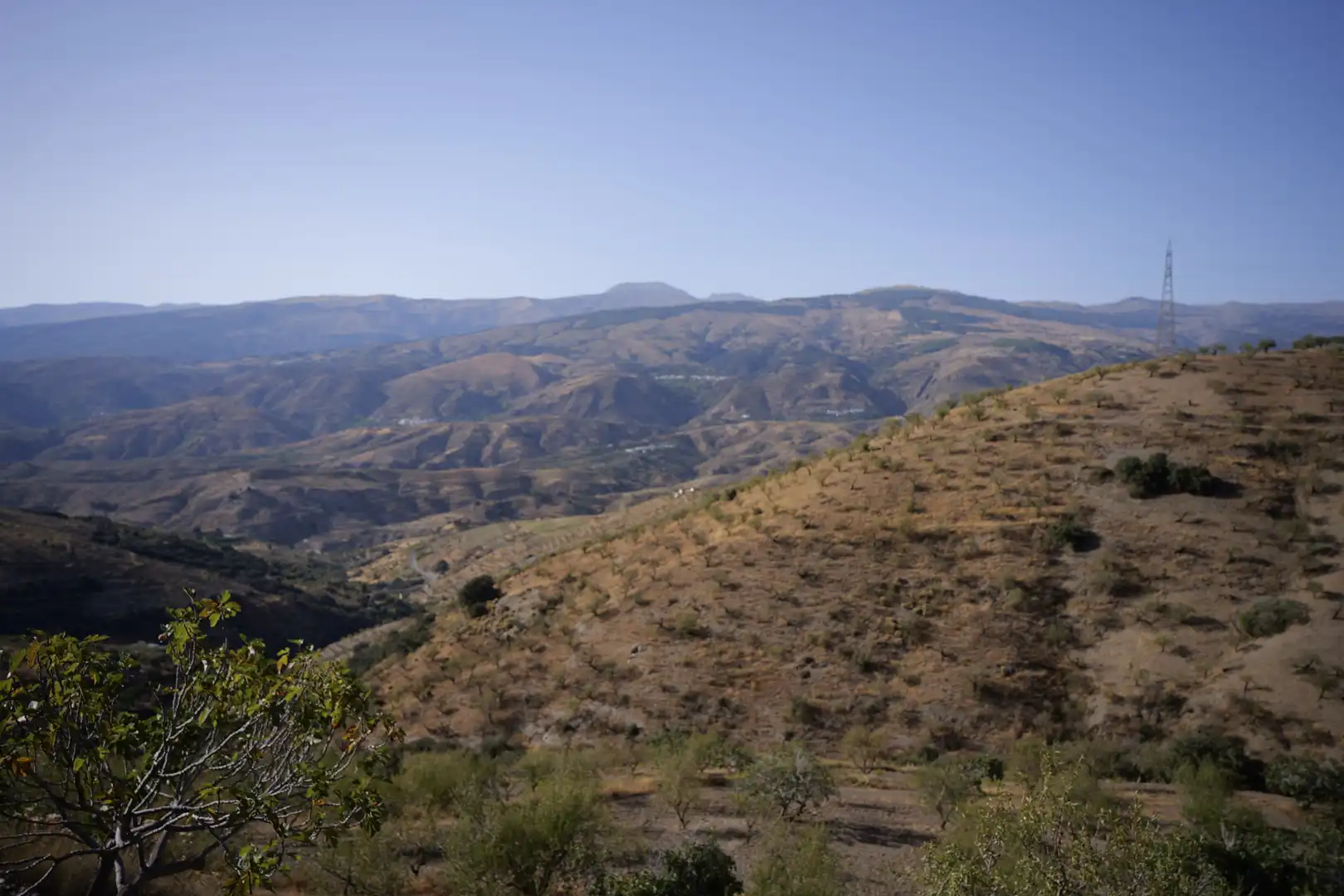 Finca rústica en venta en Cádiar