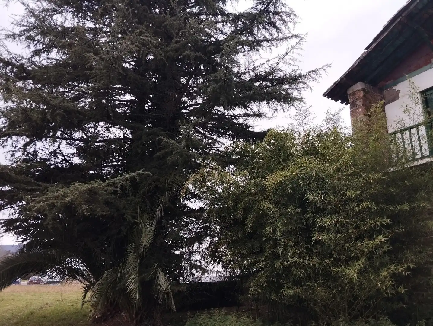 Haus mit Garten zum Verkauf in SAN PEDRO, imagen 18