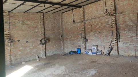 Foto 5 de Finca rústica en venta en Calle Acebuche, 5, La Palma del Condado, Huelva
