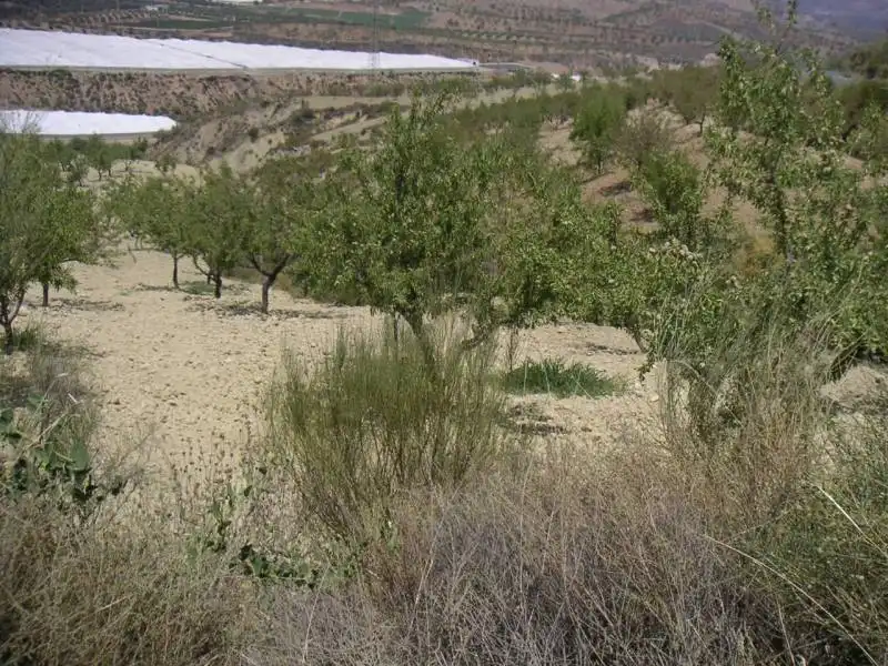 Casa o chalet en venta en Ugíjar