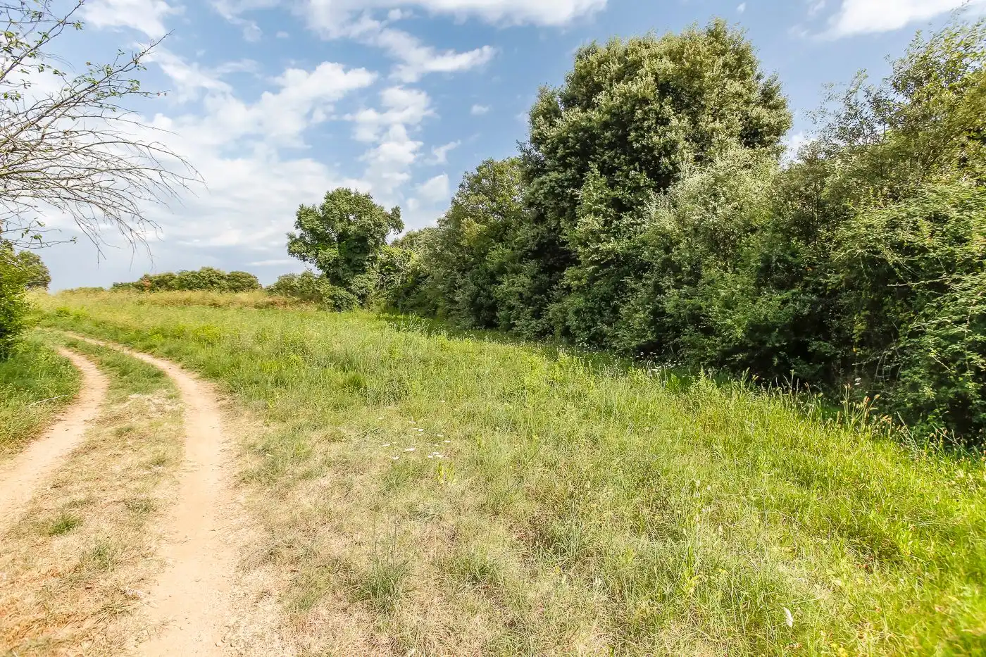 Finca rústica en venta en Quart