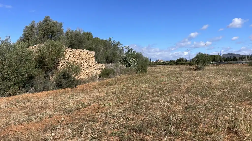 Terreno rustico in vendita a Llucmajor pueblo, imagen 5