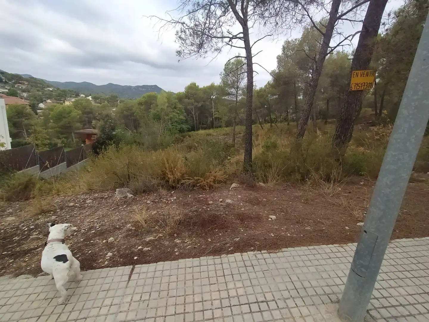 Terreno residencial en venta en Carrer Josep Martí Bofarull-C 4