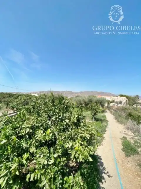 Finca rústica en venta en Pechina