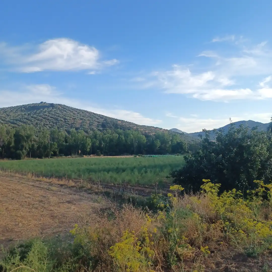 Finca rústica en venta en Villanueva del Rosario con Jardín privado, Terraza y Trastero