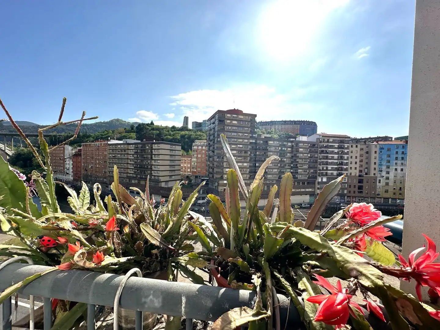 Appartamento con ascensore in vendita a Miraflores Etorbidea, imagen 2