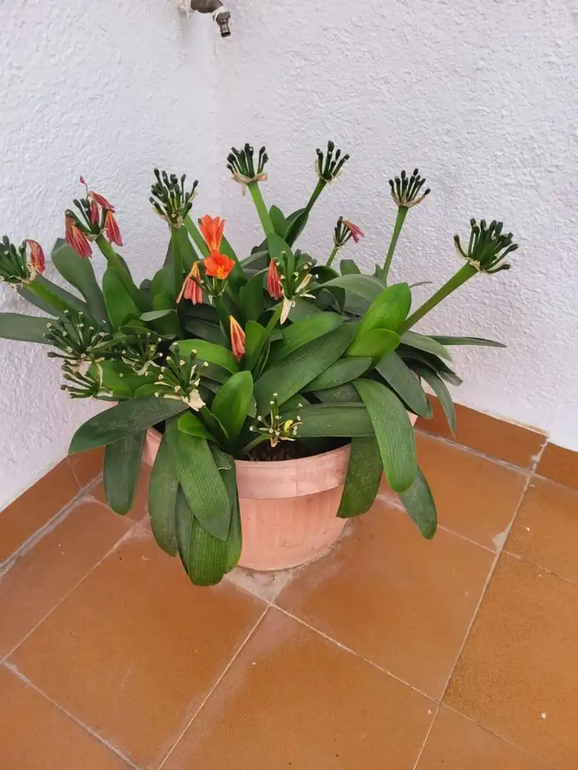 Detached house for sale in Calle de Gorgoll, imagen 33