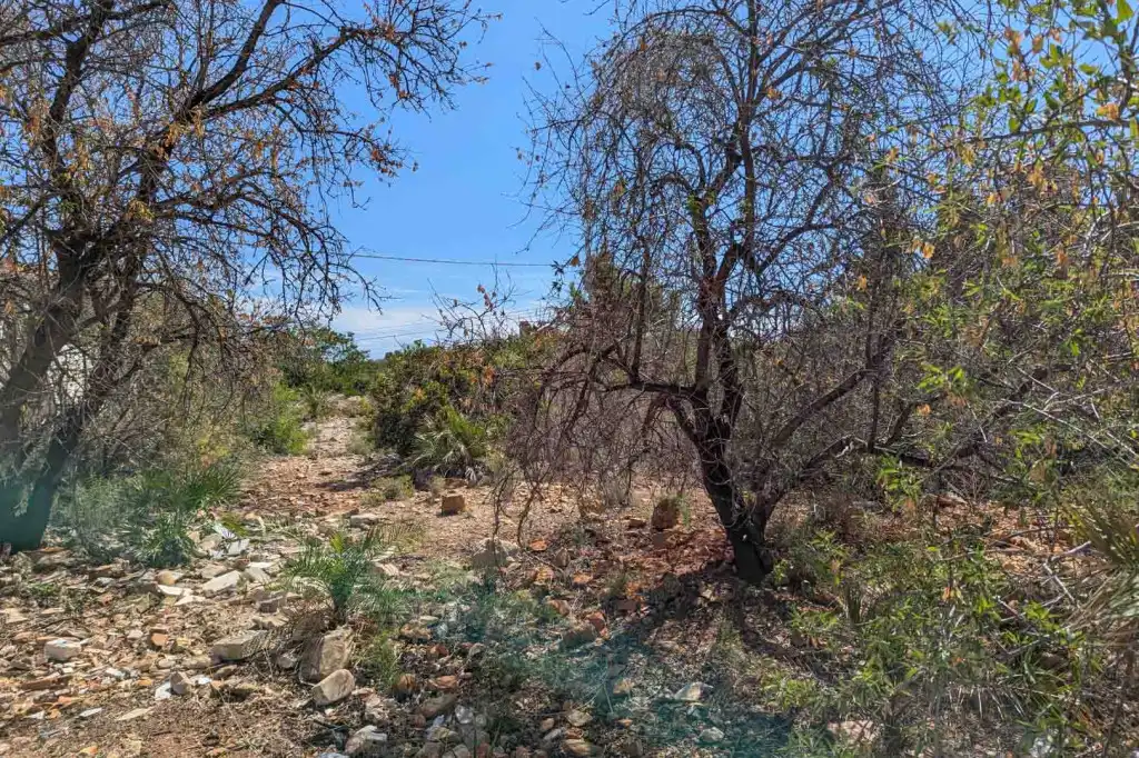 Terreno residencial en venta en El Montgó, imagen 4