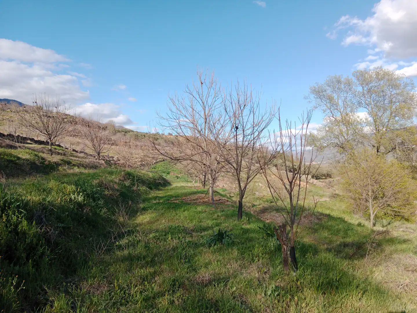 Terreno en venta en El Torno 