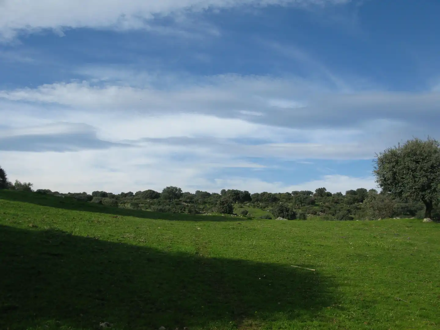 Terreni e lotti in vendita a Jarandilla de la Vera, imagen 9