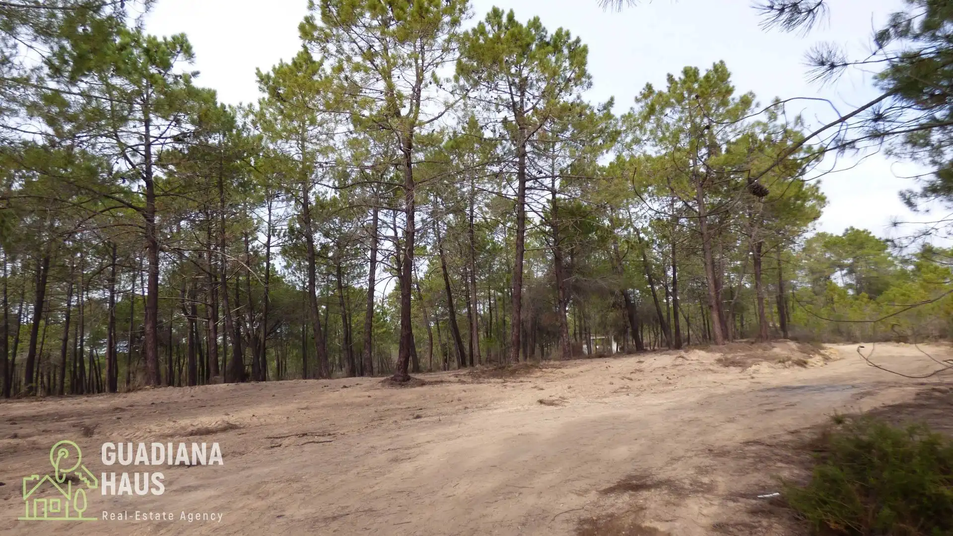 Finca rústica en venda en Villablanca amb Jardí privat i Traster