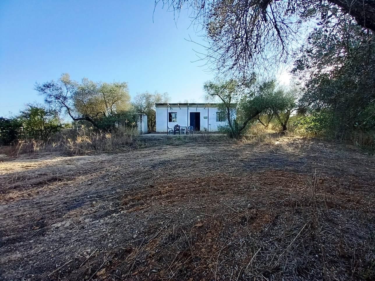 Casa o xalet en venda en Pilas amb Traster