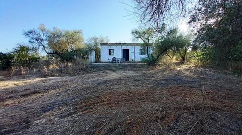 Foto 2 de Casa o xalet en venda a  Diseminado, Pilas, Sevilla