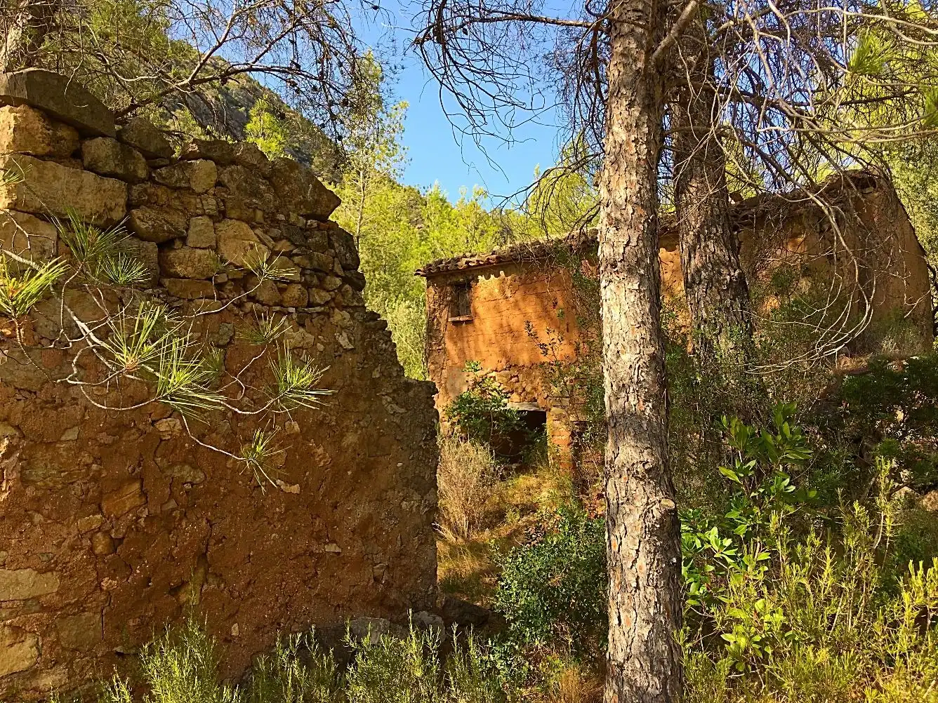Exterior view of Country homes for sale in Benifallet
