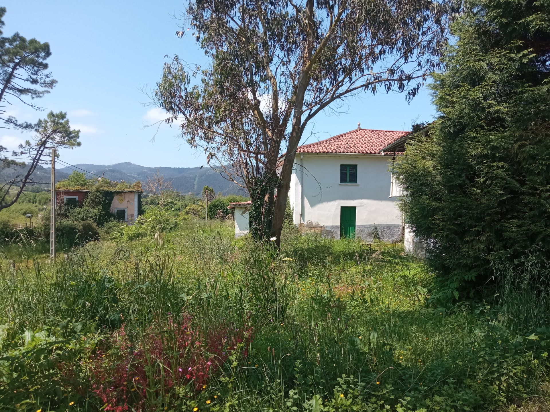 Finca rústica en venda en Valdés - Luarca amb Jardí privat, Terrassa i Moblat