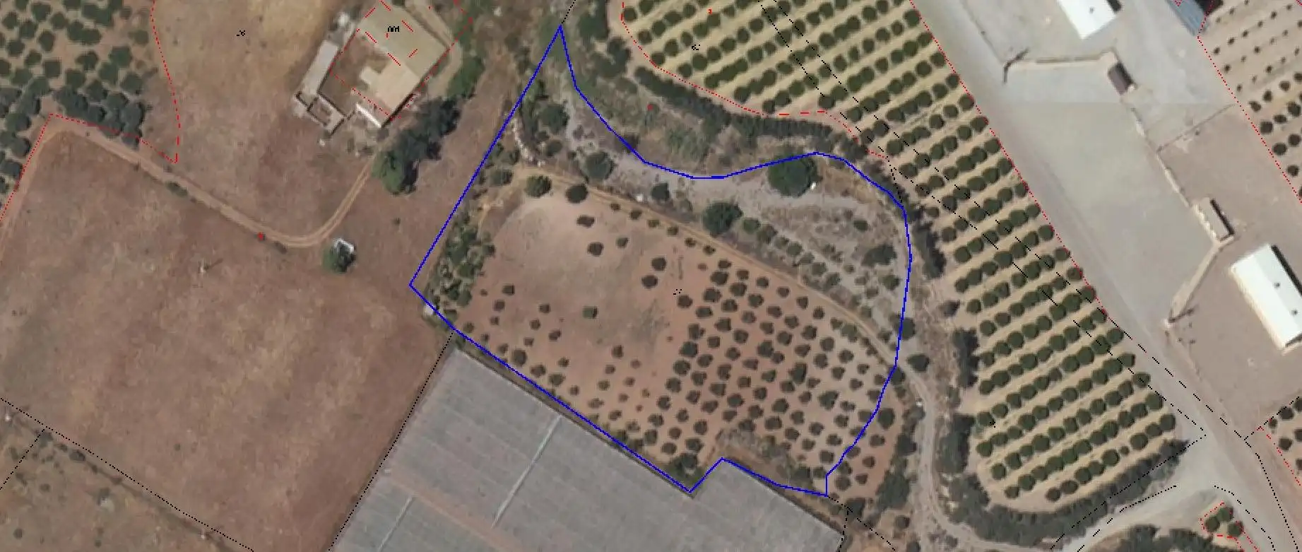 Terreno en venta en Lorca