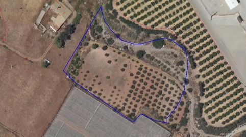 Terreno Rústico en Almendricos, Lorca con 10.000 m2 de parcela, una acción de agua de riego y posible enganche de luz