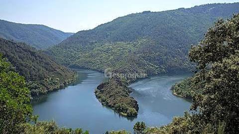 Foto 4 de Finca rústica en venda a Lugar Carballino, Ribas de Sil, Lugo