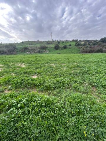 Terreno residencial en Venta en El Romeral - Peñón de Zapata