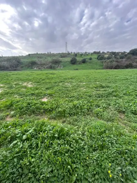 Residencial en venta en Alhaurín de la Torre